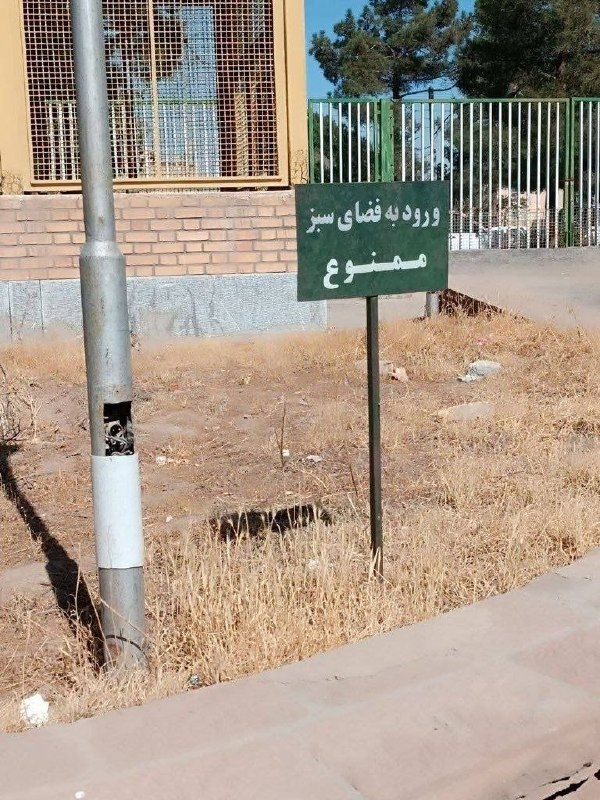 "ودف: تنها فضای سبز موجود رنگ تابلوئه@whathfuck