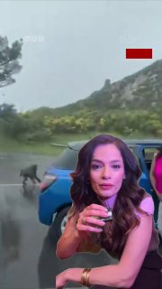 A brave woman confronts a baboon that broke into her car in Cape Town.