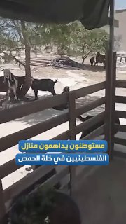 مستوطنون يقتحمون منازل فلسطينيين بخلة الحمص جنوب الخليل