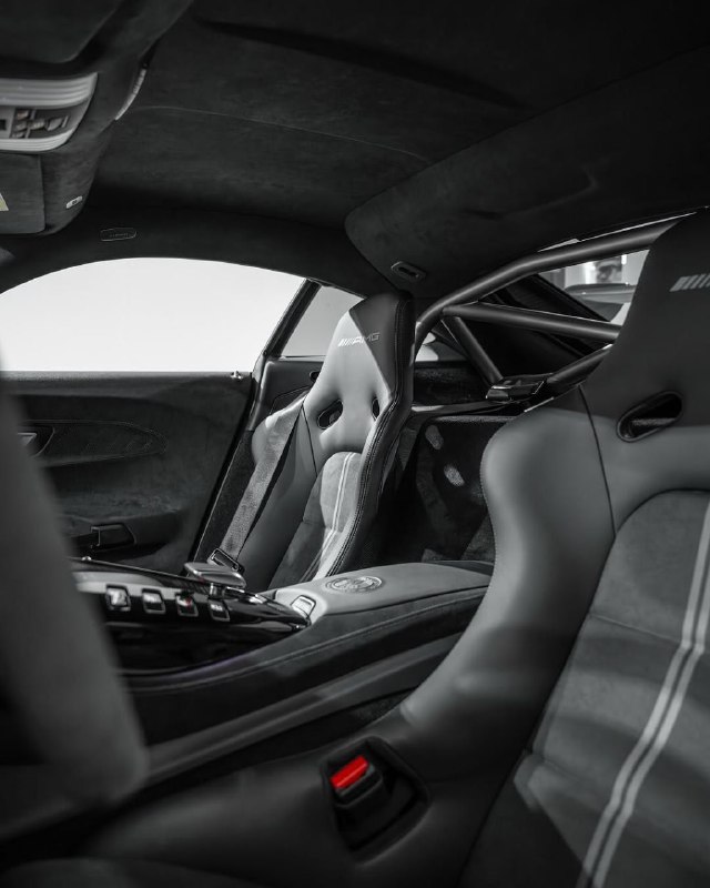 731 HP Mercedes-AMG GT Black Series V8 4