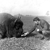 парессия моя парресия