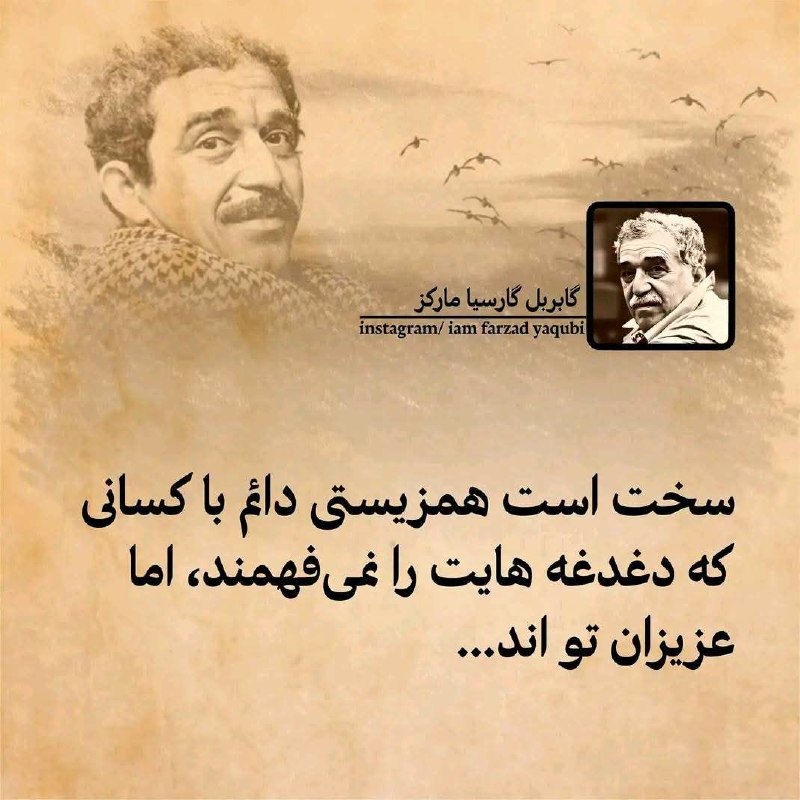 📸 گلچین بهترینها 🗒🎼: رسانه پست