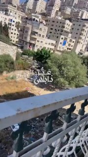 הרגע שבו כוחות הכיבוש הסתערו על בית החולים המתמחה שכם