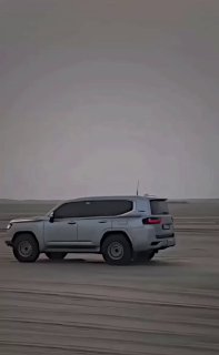 TLC или Patrol? 🧐