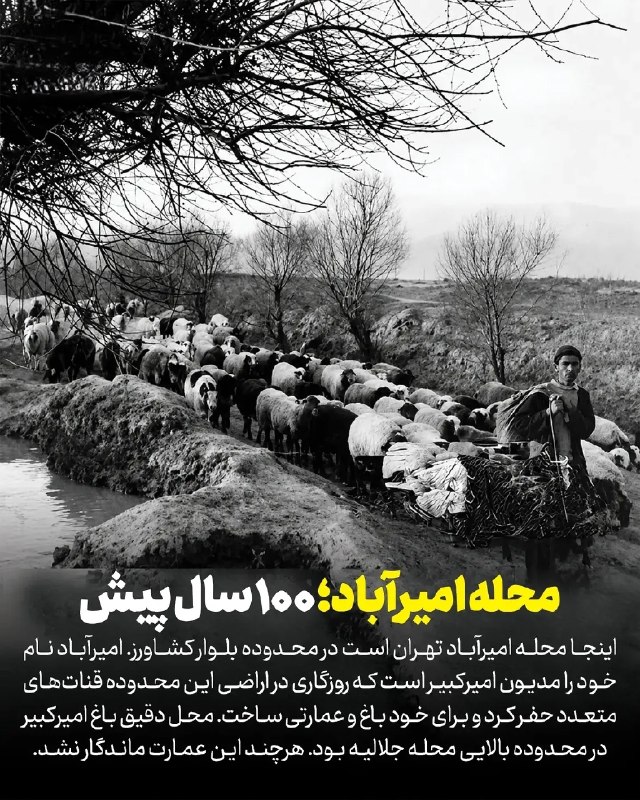اخبار فوری تهران🔖: محله امیر آباد؛ ۱۰۰ سال پیش✅ @fouri_tehran