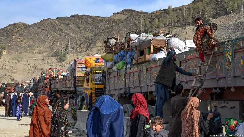 اخبار فوری هرات|غوریان نیوز: بازگشت بیش از ۱۰۰۰ مهاجر افغان از پاکستان و ایران در شبانهروز گذشتهدر جریان روز گذشته (شنبه، ۳۱ اسد)، یک هزار و ۱۶ مهاج