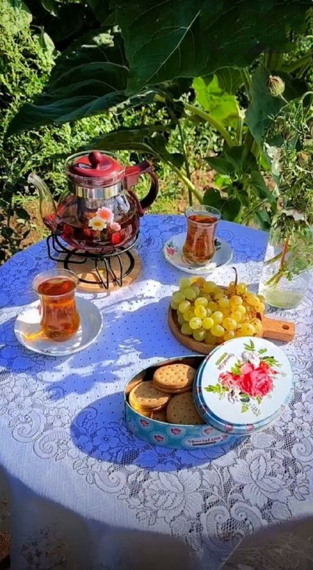 بّـاّنّــوّیّ جّــذّاّبّ: به چای دعوتت کنم یا به باقی عمرم؟عصرت بخیر و خوشی🌸🌸🌸🌸🌸🌸