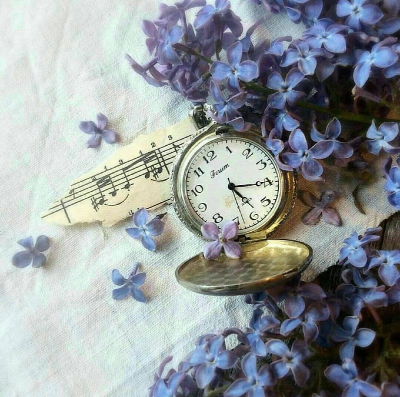 پست های ناب: ﭘﺸﺖ ﻭﯾﺘﺮﯾﻦ ﺳﺎﻋﺖ ﻓﺮﻭﺷﻲ ﺍﯾﺴﺘﺎﺩﻩ ﺑﻮﺩﻡﺳﺎﻋﺘﻬﺎ ﺭﻭ ﻛﻪ ﻧﮕﺎﻩ ﻣﻴﻜﺮﺩﻡ،ﺩﯾﺪﻡ ﻫﯿﭻ ﺳﺎﻋﺘﯽ ﺑﻪ ﻗﺸﻨﮕﯽﺳﺎﻋﺘﯽ ﮐﻪ ﺩﻭﺭ ﻫﻢ ﻫﺴﺘﯿﻢ،ﻧﯿﺴﺖ...قدر با هم
