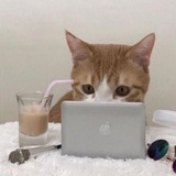 ксюша монтажник