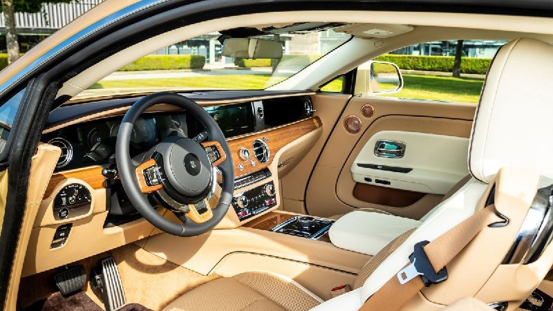 Rolls-Royce посвятил электрокар собаке 3