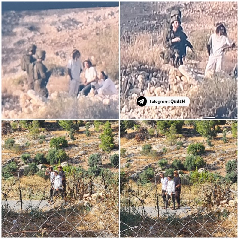בשמירה על ידי חיילי הכיבוש, מתנחלים מתענגים בפאתי העיירה סוריף, מצפון לחברון.