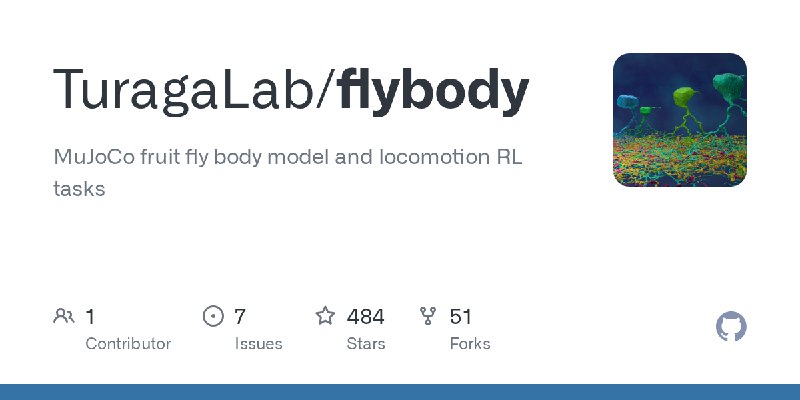 GitHub - TuragaLab/flybody: MuJoCo fruit fly body model and locomotion RL tasks
