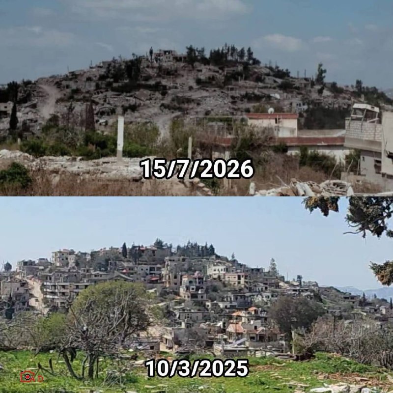 הולה