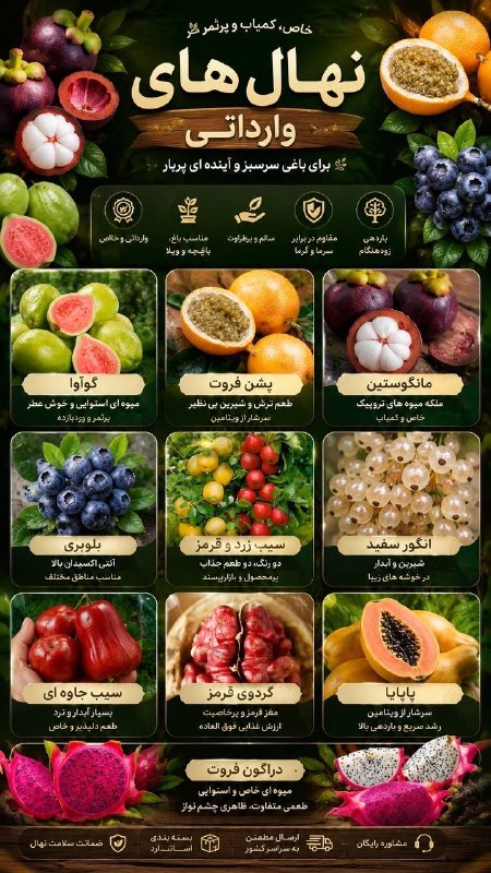 طبیعت ایران و جهان: ✨فروش نهال های وارداتی،لاکچری و کمیاب.🌱 گیاهان لاکچری و خاص مناسب ویلا، خانه باغ، باغ شهری، باغ و منزل.🌱 طراحی باغ ها، و