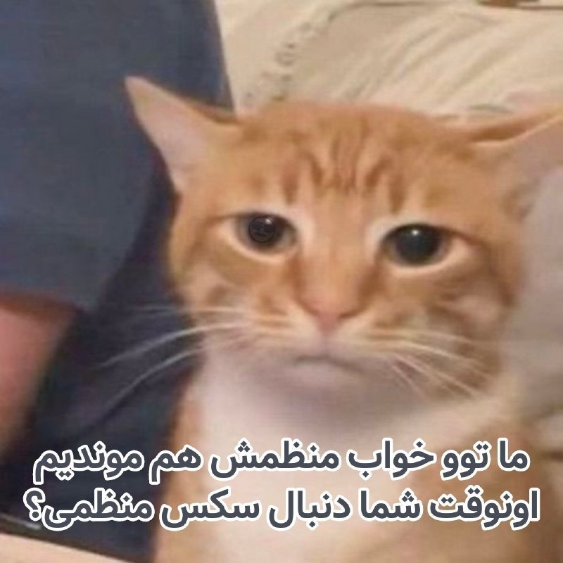 کاف: والا💬379Lidia @kafiha