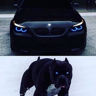 }{Iskandar{}buyuk¢$ Telegram Group Link