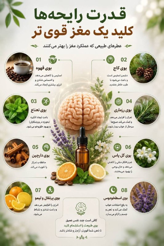 💚نظرقلی آنلاین💚: قدرت رایحه ها کلید یک مغز قوی تر🍃🌺 @nazargolyonline