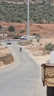 Settlers steal olives from Palestinian lands in Marda village, north of Salafit.