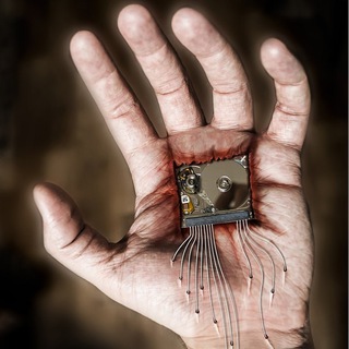 Physics.Math.Code Telegram Group Link