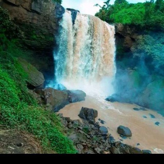 ❤️ዶንዶር መድኃኒት መደብር (ፍኖተ ሰላም)❤️