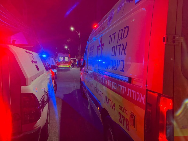 רצח בריינה: פרמדיק מד"א קבע את מותו של פצוע עם פציעות חודרות קשות