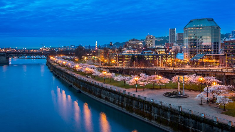 Urban bloomsCherry blossoms at Tom McCall Waterfront Park, Portland, Oregon (© Eric Vogt/Tandem Stills + Motion)
