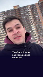 ❗️ TW: жестокое обращение с животнымиС начала года в нескольких российских регионах погибли десятки собак — их травят догхантеры. Хозяева погибших животных пишут заявления в полицию, однако часто это ни к чему не приводит.➡️ Подробнее о последних происшест