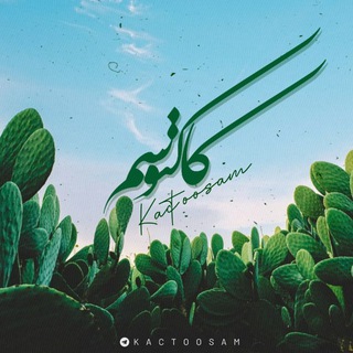 Telegram profile photo for کاکتوسم...🌵
