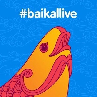 Baikal Live - чат фестиваля
