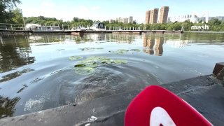 Ну чё вы, сидите в офисах и плавитесь? А нормальные люди Шпак — нет. Он радуется второму жаркому дню в столице, купается и разговаривает с утками (потому что ходит без панамки).❗ Не грузятся фото и видео? Читайте нас в MAX.