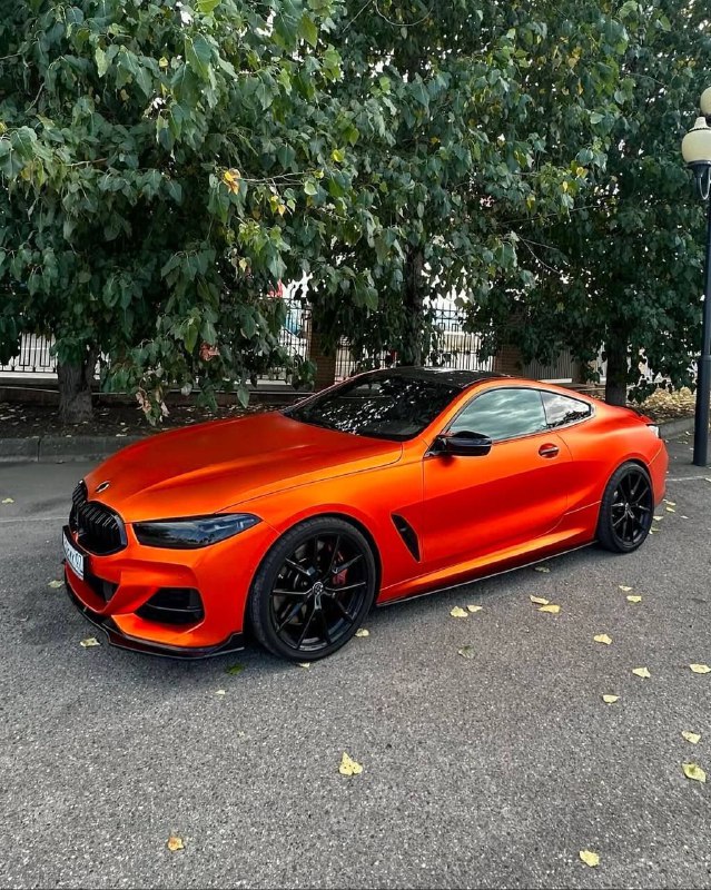 BMW M Powerhttps://t.me/bmw_mpower_club#bmw #mpower #bmwmpower #bmwworld #bmwmpo