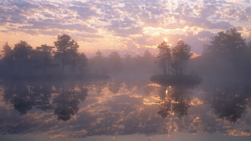 An ancient glacial landscapeKnuthöjdsmossen, a nature reserve in Sweden (© Sven Halling/DEEPOL/plainpicture)