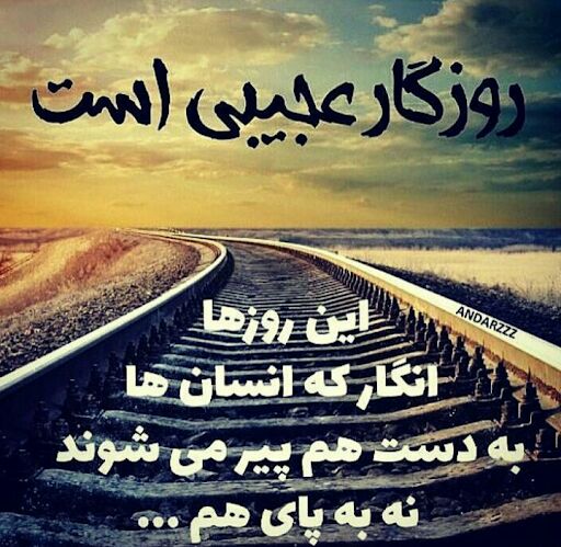 🍃﷽🍃 سنگ صبور🍃﷽🍃: روزگار عجیبی ست...!!!!این روزها انگار که انسانها به دست هم پیر میشوندنه به پای هم....!!!!🍂🌹 @sangesabur 🌹🍂