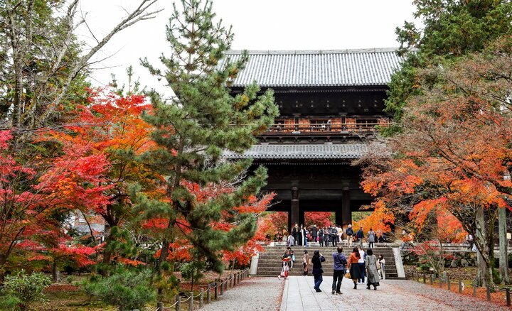 疫情後的第一次京都紅葉見頃【上篇】