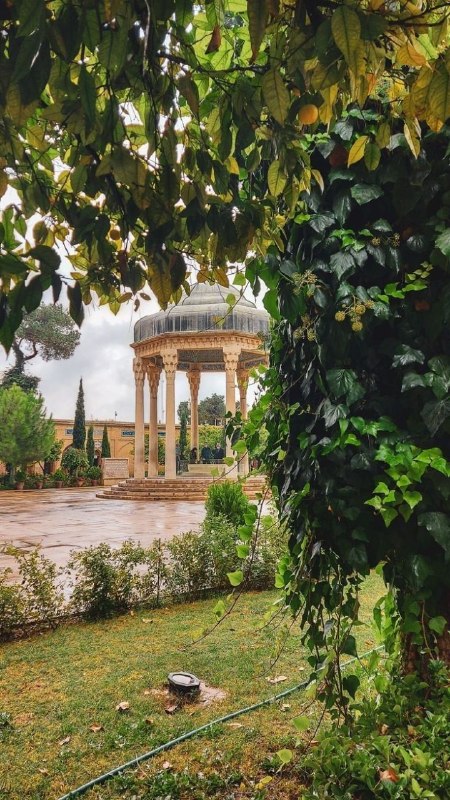 خداوندگار عشق: ☆☆☆#امشب_با_حافظ 📖ای غایب از نظر به خدا می‌سپارمتجانم بسوختی و به دل دوست دارمتخواهم که پیش میرمت ای بی‌وفا طبیببیمار با