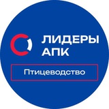 ЛИДЕРЫ АПК / Птицеводство🐓