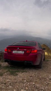 https://t.me/bmw_mpower_club