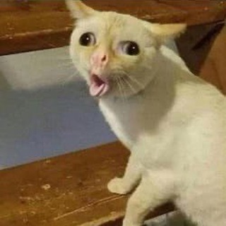 Миссисипи Telegram Group Link