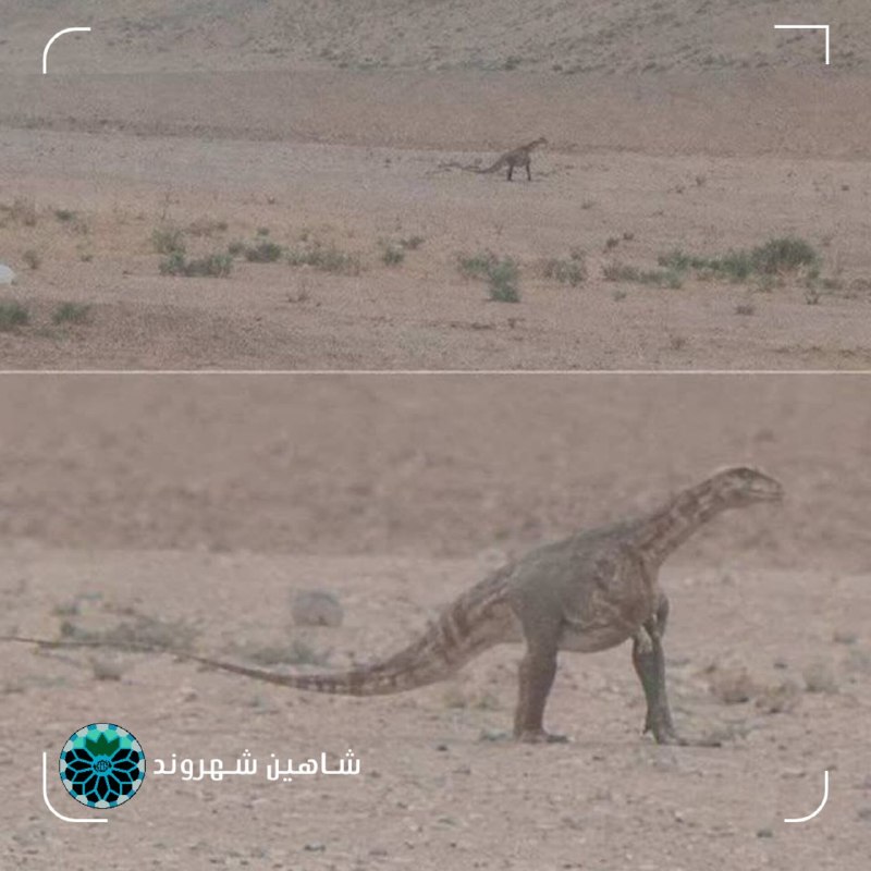 شاهین شهر وند: 📌 بازهم هوش مصنوعی دردسر ساز شددبیر شورای اطلاع رسانی اداره کل حفاظت محیط زیست خراسان رضوی:🔹طی روزهای اخیر تصویری در شبک