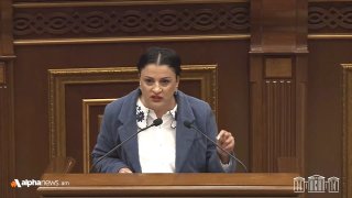"אל תקוה כי תוכל לשבת מאחורי גב המשטרה": אירינה יואליאן - חברי הסגן "GD" מן ה Faction "Strong ארמניה" אירינ…