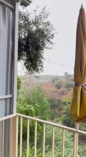 גשם כבד על נהר ארקה בצפון לבנון