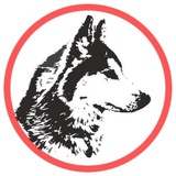 Помощь ездовым собакам help_husky_nsk