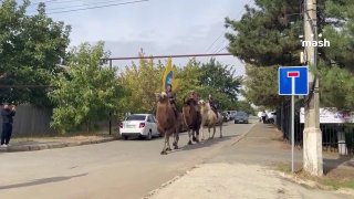 Явка на выборах депутатов Госдумы составила больше 20% — причём в Калмыкии голосовала семья на верблюдах, в Сочи 18-летняя слониха Марта, а в Петербурге к участку высадился небольшой десант авторитетов в стиле "Бригады".и это только начало❗ Не грузятся фот