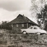 Летопись Лютого Зверя