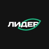 Лидер — 2026