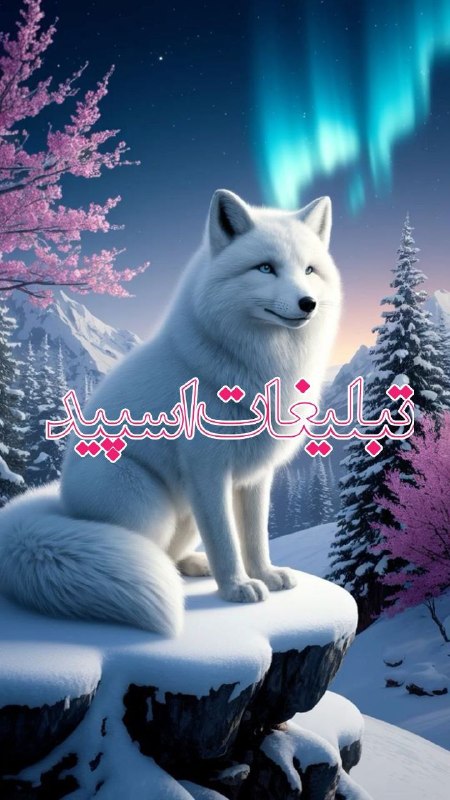 گروه دخترونه دوستیابی تبریز: ❶﹚ نام : ⎯꯭᪵̽𝆺꯭𝅥𝐖𝐈𝐋𝐃𓆩᪵🜲꯭𓆪̥𝐖𝐎𝐋𝐅⎯꯭꥓᪵ͯ⟶❷﹚ نو؏ تبلیغات : #telegram❸﹚ توضیحات :𝑊𝐸𝐿𝐶𝑂𝑀𝐸 𝑇𝑂┈┈∘┈˃‌༒˂‌┈∘┈┈#𝑨𝑩𝑹𝑮𝑷 𝐖𝐈𝐋𝐄𝐃𝐖𝐎𝐋𝐅 sɨռᴄɛ" 