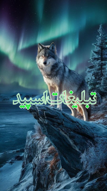 لینکدونی و گروه چت تهران: ❶﹚ نام : Black chat❷﹚ نو؏ تبلیغات : #telegram❸﹚ توضیحات :✨ اختیار ورود با خودته ولی احترام تو با ما ✨🌹 اینجا یه گروه معم