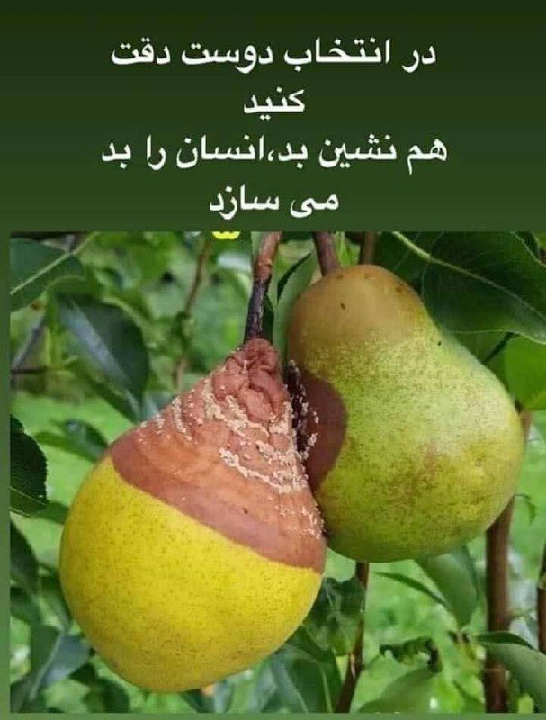 💓آشتی با خدا💓: رسانه پست