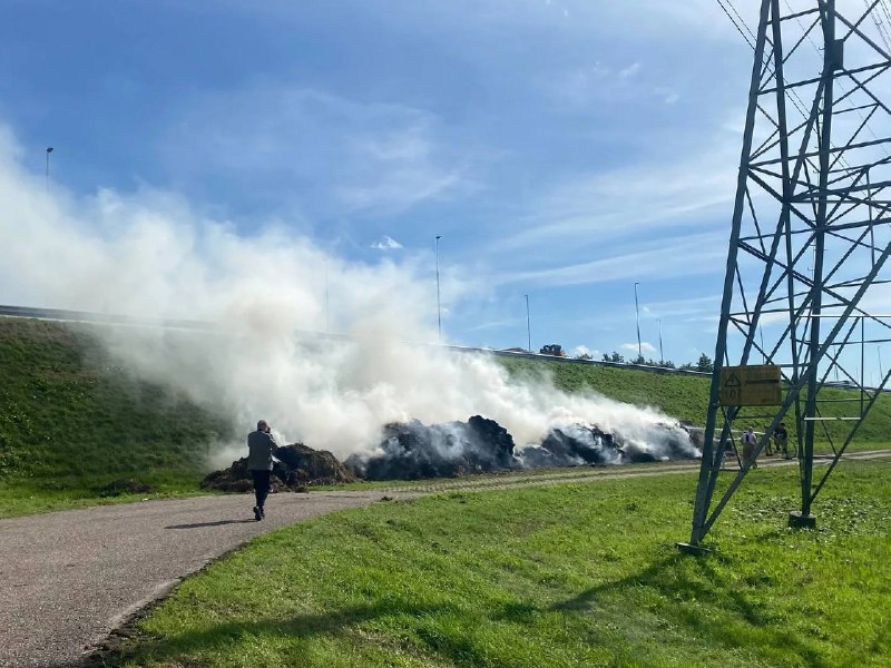 - 🇳🇱 Note: Farmers also placed burning piles of s*** and piles of hay along highways.