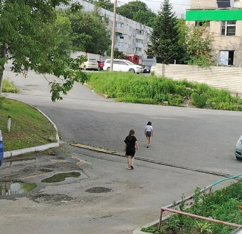 Школьницы в Артёме закидали камнями женщину-инвалида — подробности происшествия